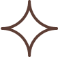 Gemini Logo